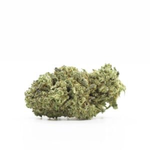 Iekštelpu CBD ziedi: siera kūka