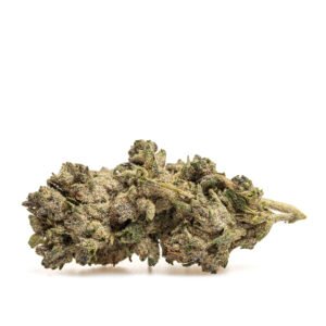CBD ziedi: SPRITZ N9 - THX