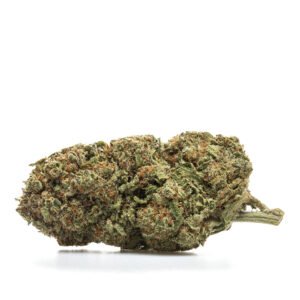 Iekštelpu CBD ziedi: MELLENES - HIDRO
