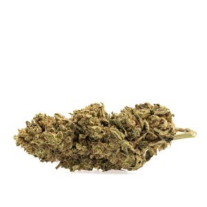CBD ziedi: Citronu Kušs