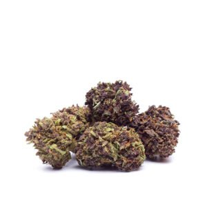 CBD ziedi: Purpura migla