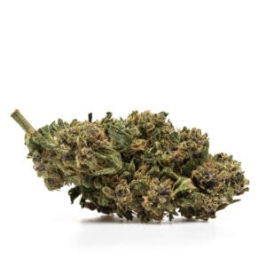 CBD ziedi: SHERBELATO - THX