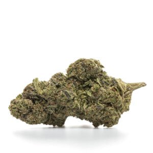 CBD ziedi iekštelpām: KĀZU KŪKA - HIDRO